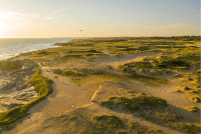 Dunes de la Sauzaie à Brétignolles-sur-Mer