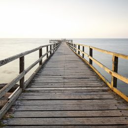 Août à Noirmoutier : à la conquête de son or blanc