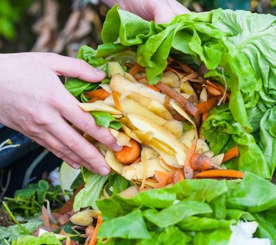 Apprenez à réduire vos déchets avec hoomy