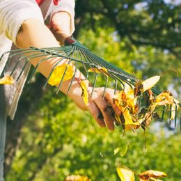 Un beau jardin sans entretien ? C'est possible !