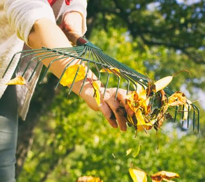 Un beau jardin sans entretien ? C'est possible !