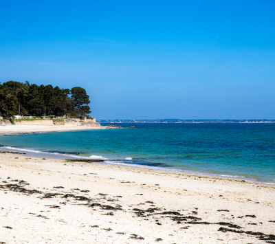 Conciergerie hoomy à Quiberon et gestion locative