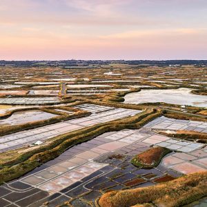 Les marais salants de Guérande