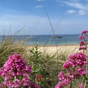 Plage du Guen