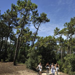 Forêt Pays de Saint-Jean-de-Monts
