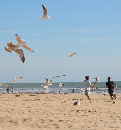 Plage du Pays de Saint-Jean-de-Monts