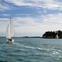 La Semaine du Golfe, événement phare du Morbihan