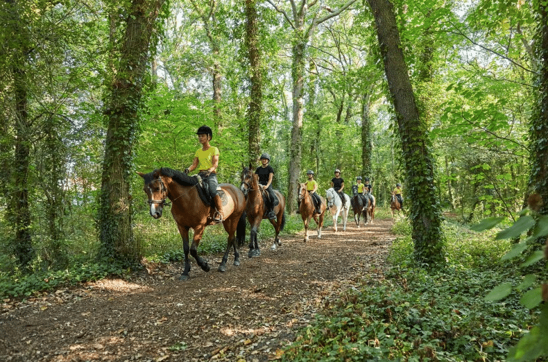 location de vacances à la baule