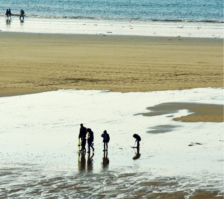 pêche à pied - bretagne - hoomy